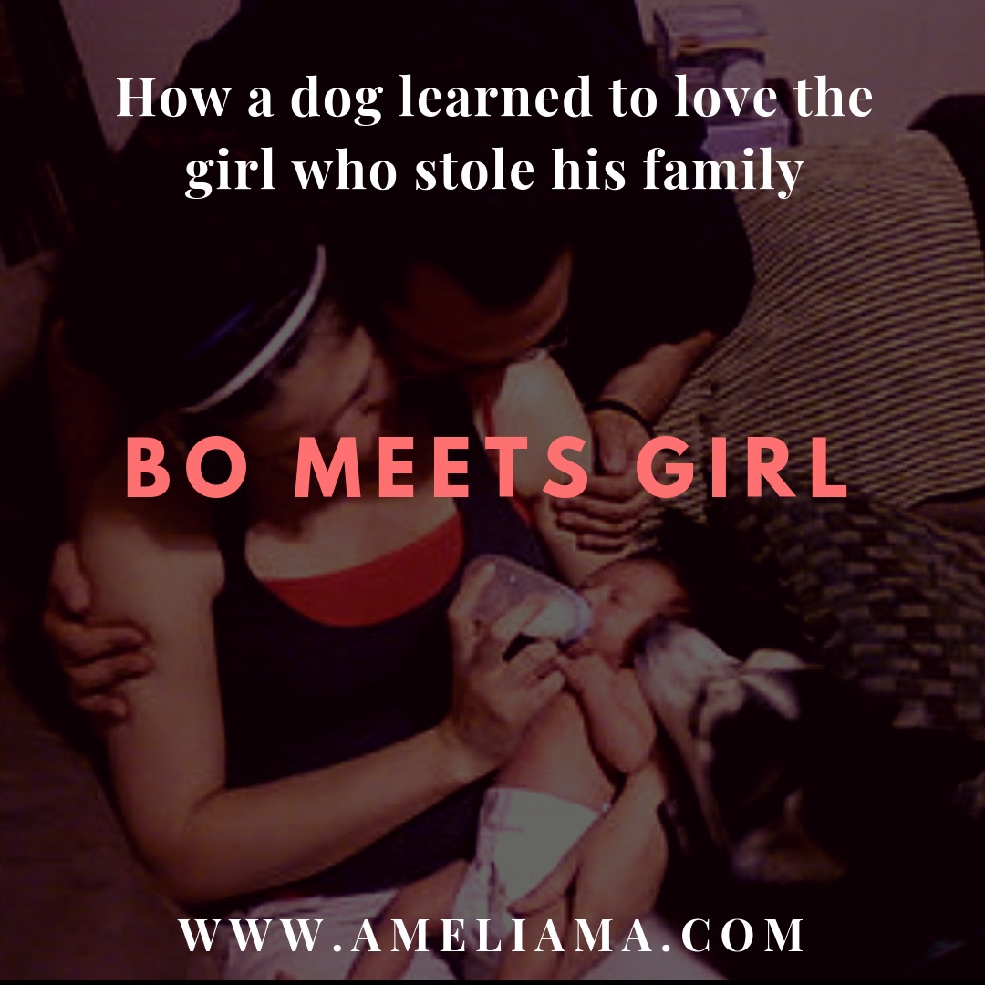 Bo Meets Girl | a story of a baby and her dog