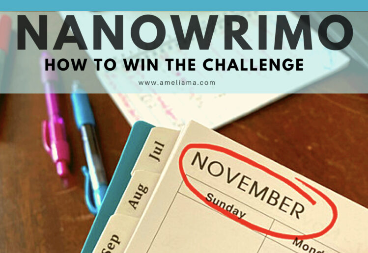 NaNoWriMo